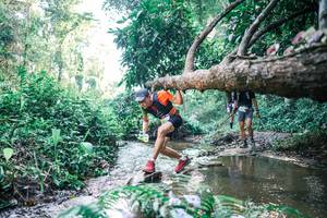 BIB: 
                            <button type="button" onclick="openModal(25434916)" class="btn btn-primary btn-sm float-right btn-popup" data-toggle="modal" data-target=".modal-high-quality">
                        <i class="fas fa-shopping-cart"></i> Add to Cart
                    </button>
                                            <button type="button" onclick="isThisMe(25434916, true)" class="btn btn-success btn-sm float-right btn-popup btn-isme hidden" data-toggle="tooltip" data-placement="bottom" title="นี่คือรูปของคุณใช่ไหม คลิกที่นี่เพื่อเอาเข้าอัลบั้ม">
                        <i class="fas fa-plus"></i> Add to album
                    </button>
                    <button type="button" onclick="isThisMe(25434916, false)" class="btn btn-warning btn-sm float-right btn-popup btn-isnotme hidden">
                        <i class="fas fa-ban"></i> Remove from album
                    </button>